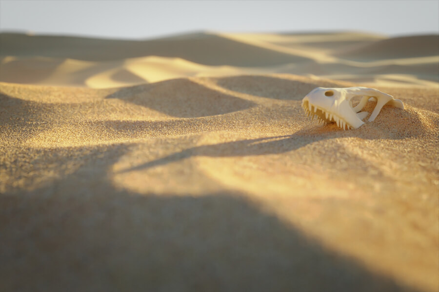 Természet - Sivatag tanfolyam